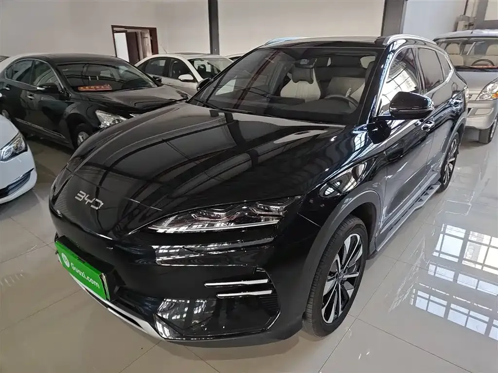 BYD PLUS New Energy 2025 из CN, фото 6