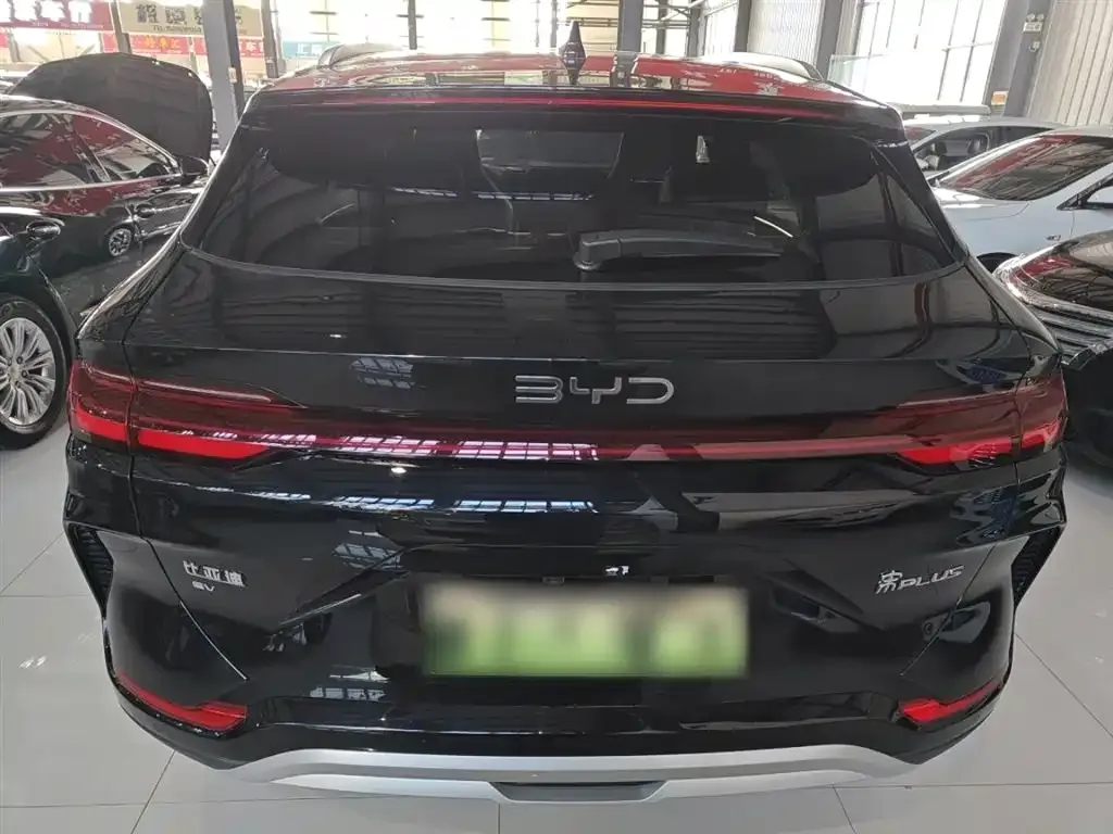 BYD PLUS New Energy 2025 из CN, фото 4