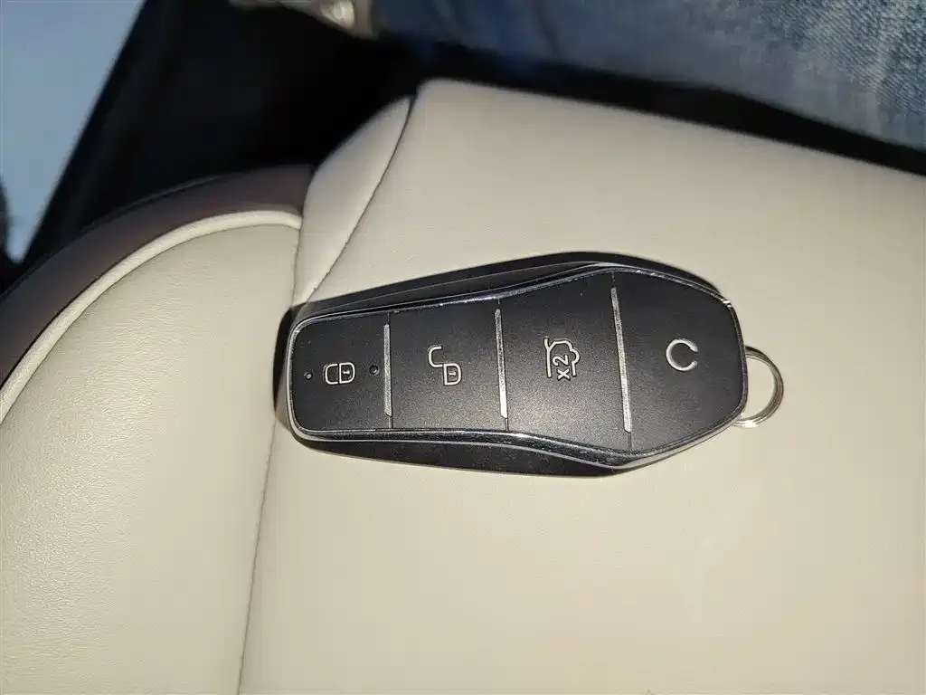 BYD PLUS New Energy 2025 из CN, фото 2