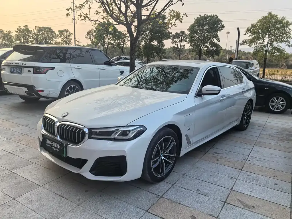BMW 5 Series New Energy 2021 из CN, фото 1