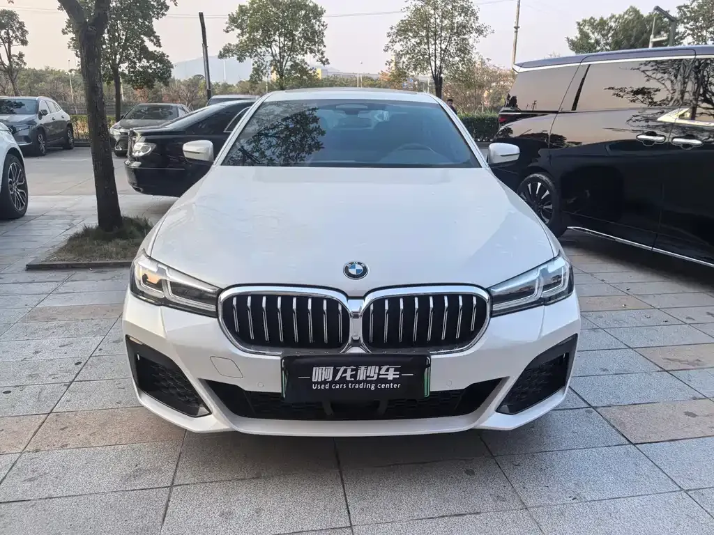 BMW 5 Series New Energy 2021 из CN, фото 3