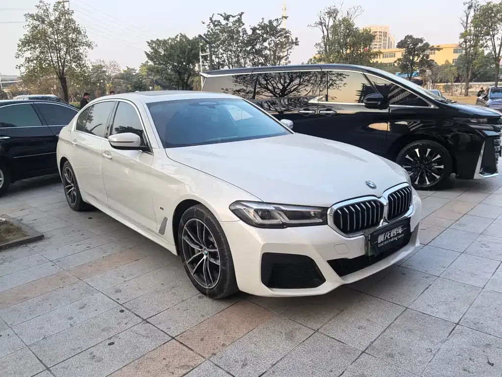 BMW 5 Series New Energy 2021 из CN, фото 5
