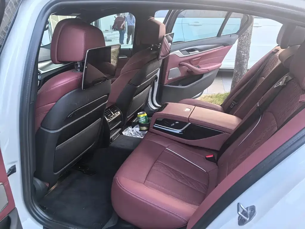 BMW 5 Series New Energy 2021 из CN, фото 6