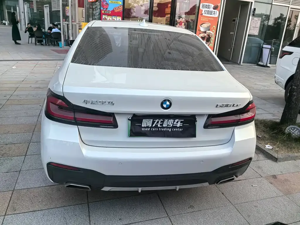 BMW 5 Series New Energy 2021 из CN, фото 2