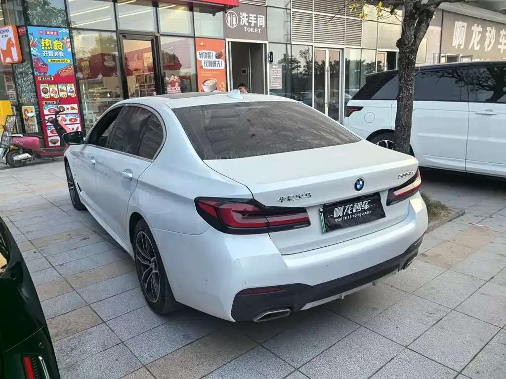 BMW 5 Series New Energy 2021 из CN, фото 9
