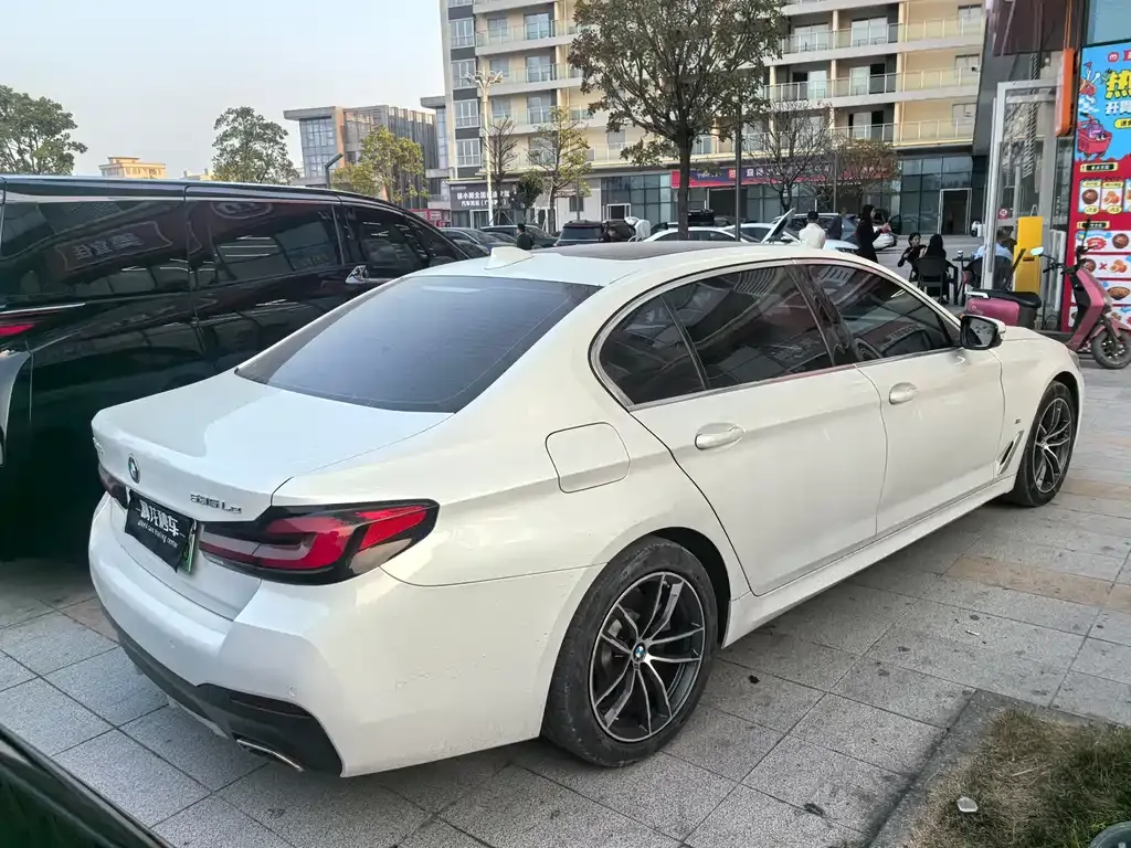 BMW 5 Series New Energy 2021 из CN, фото 8