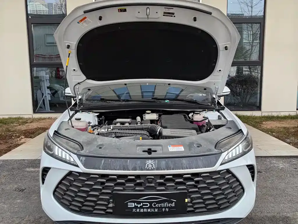 BYD Qin PLUS — фото 3