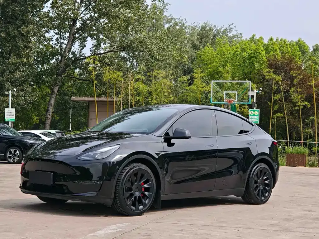 Tesla Model Y 2021 из CN, фото 1