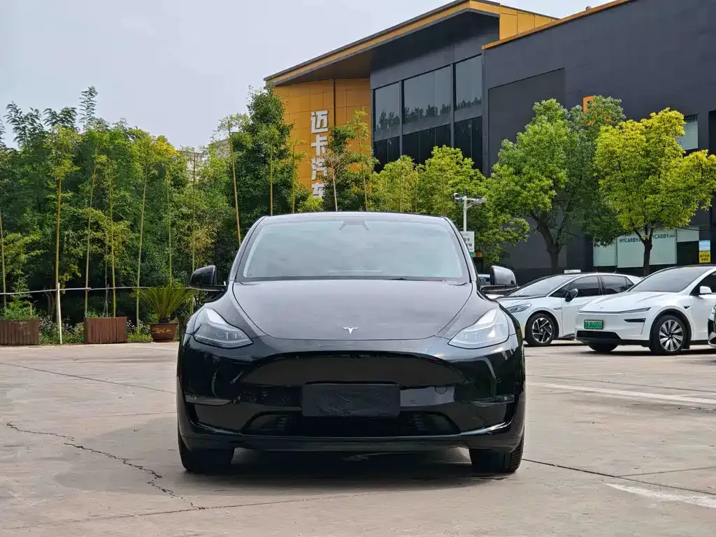 Tesla Model Y 2021 из CN, фото 7