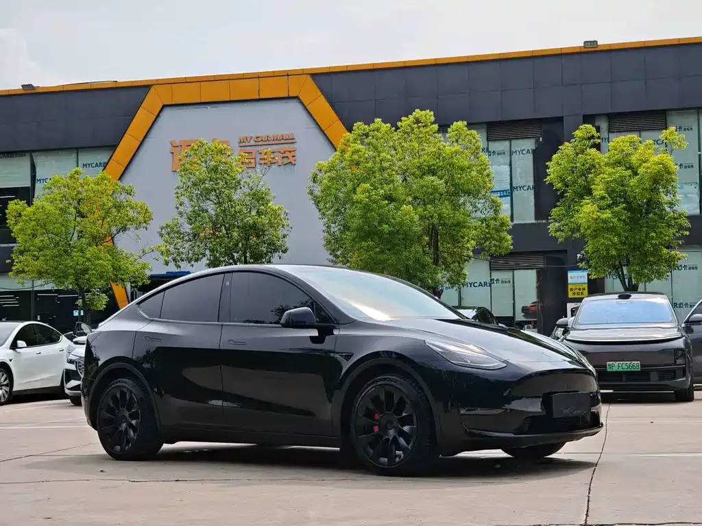 Tesla Model Y 2021 из CN, фото 10
