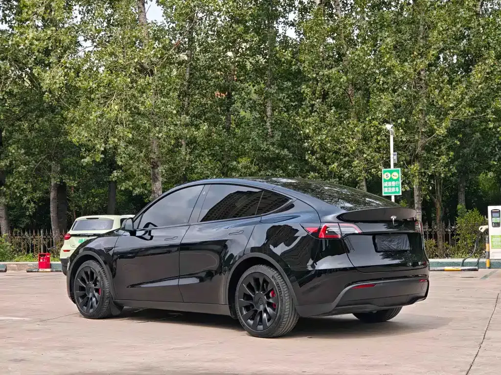 Tesla Model Y 2021 из CN, фото 8