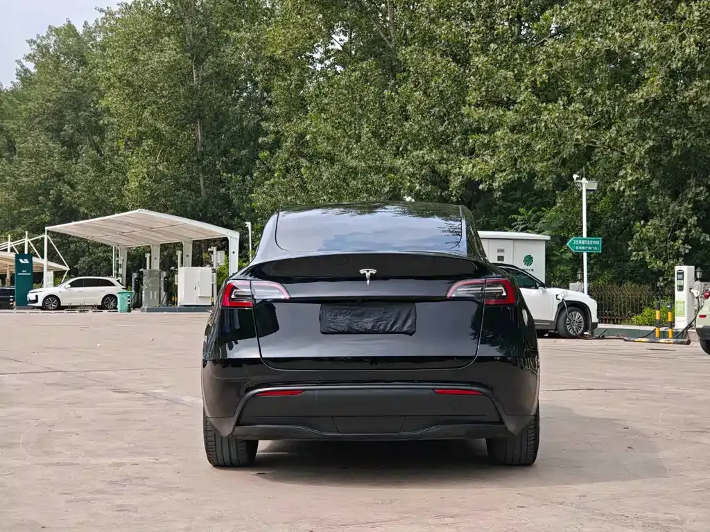Tesla Model Y 2021 из CN, фото 9