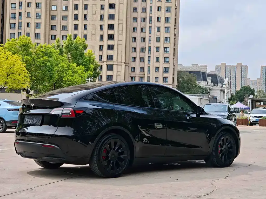 Tesla Model Y 2021 из CN, фото 6