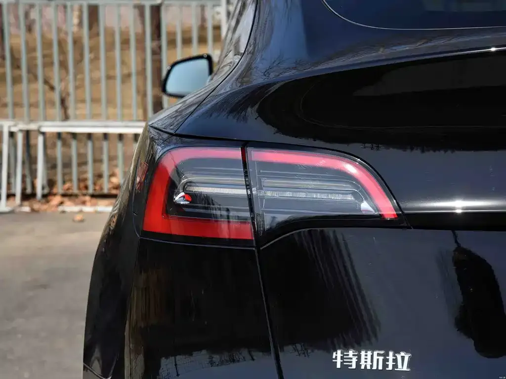 Tesla Model Y 2021 из CN, фото 5