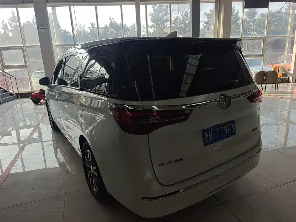 Buick GL8 2023 из CN, фото 10