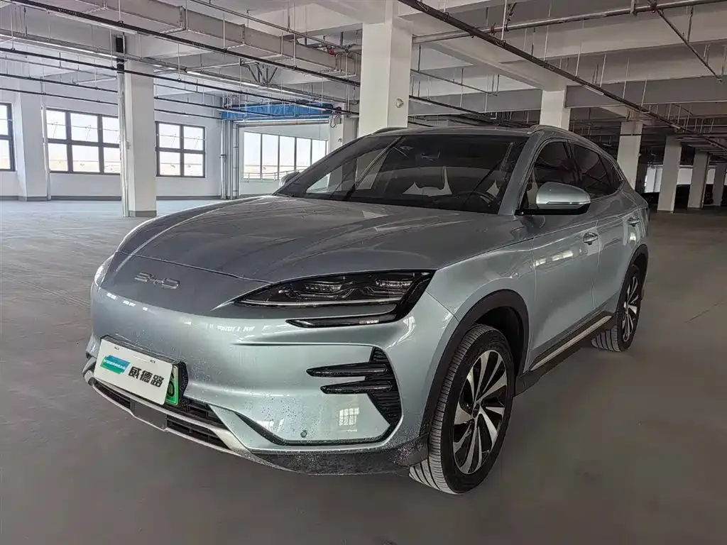 BYD PLUS New Energy 2024 из CN, фото 1