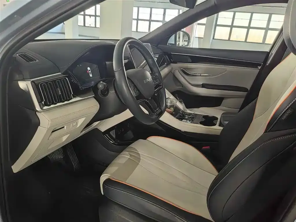 BYD PLUS New Energy 2024 из CN, фото 2