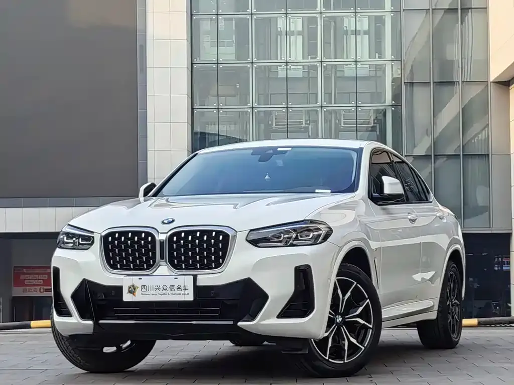BMW X4 2021 из CN, фото 1