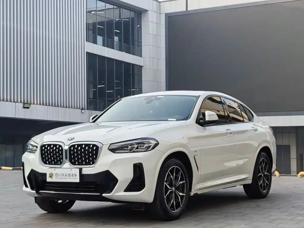 BMW X4 2021 из CN, фото 6
