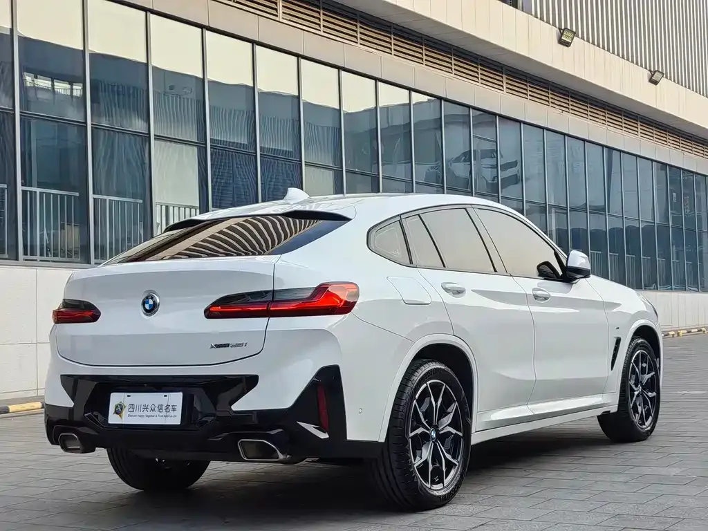 BMW X4 2021 из CN, фото 10