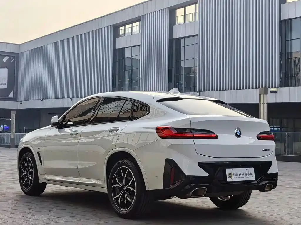 BMW X4 2021 из CN, фото 8