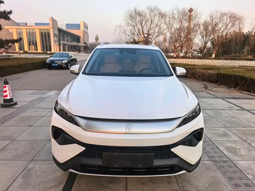 BYD Pro New Energy 2024 из CN, фото 1