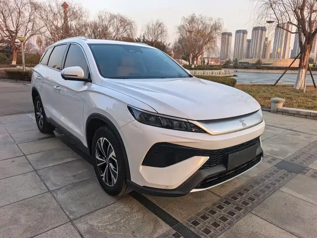 BYD Pro New Energy 2024 из CN, фото 6