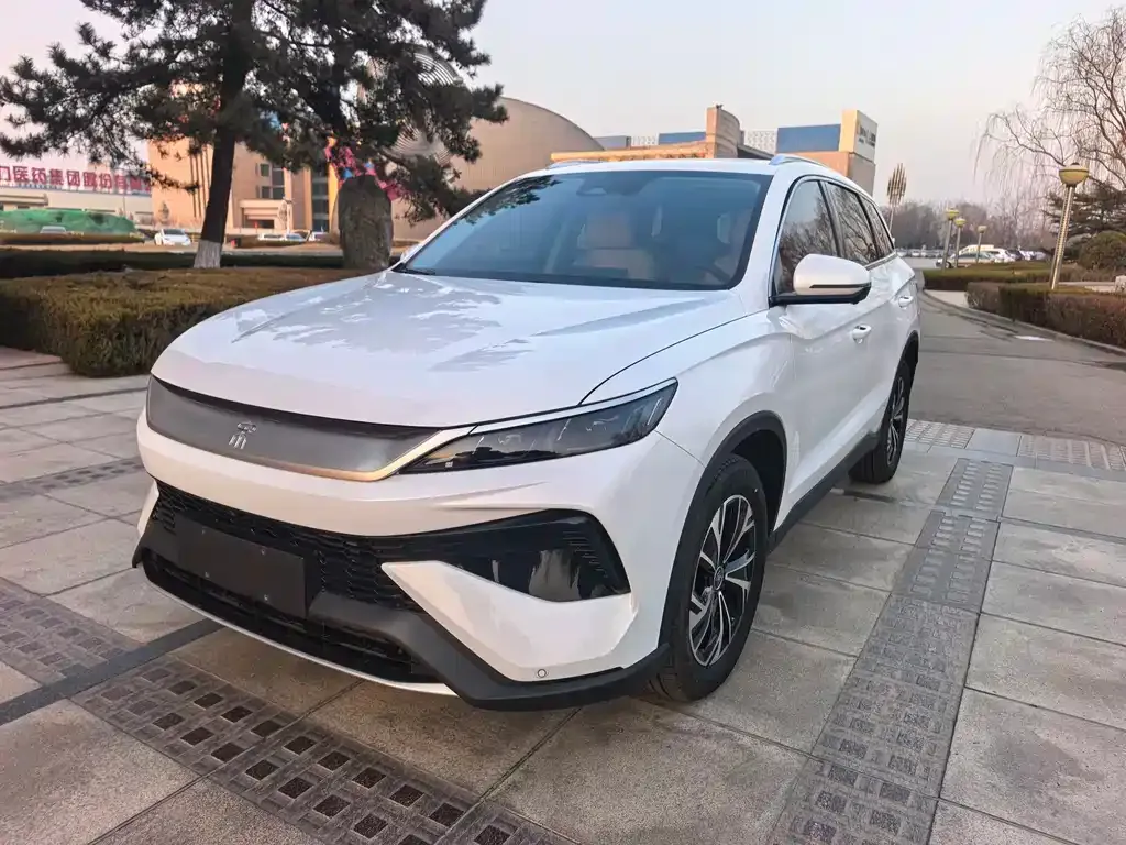 BYD Pro New Energy 2024 из CN, фото 8