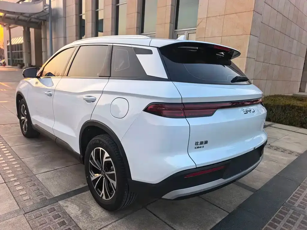 BYD Pro New Energy 2024 из CN, фото 5