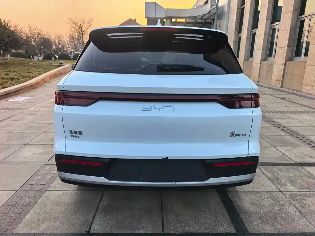 BYD Pro New Energy 2024 из CN, фото 10