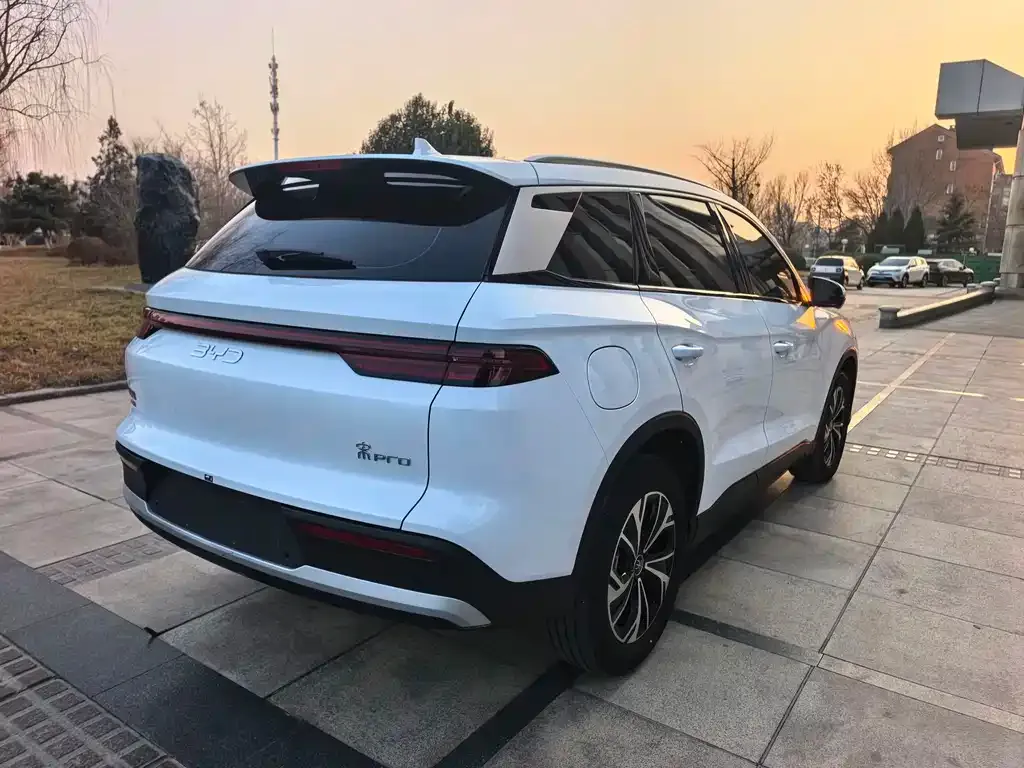 BYD Pro New Energy 2024 из CN, фото 7