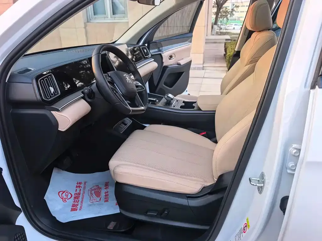 BYD Pro New Energy 2024 из CN, фото 3