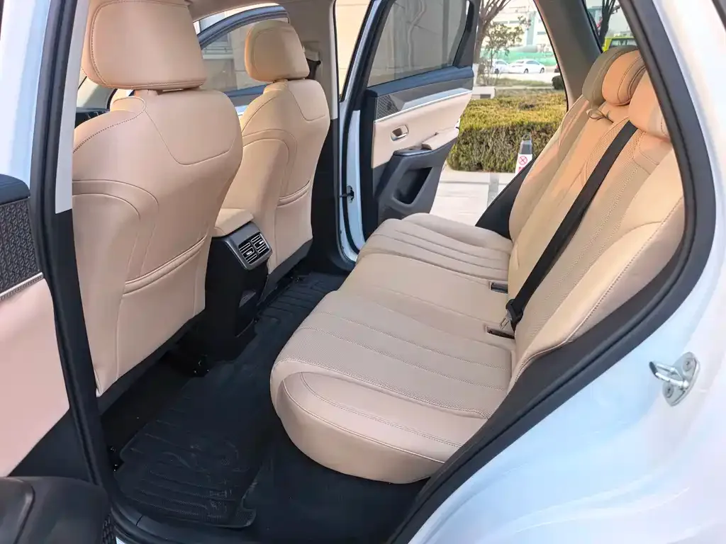 BYD Pro New Energy 2024 из CN, фото 9