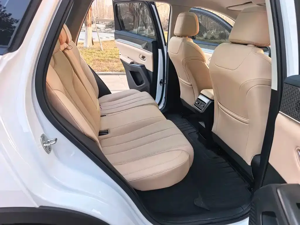 BYD Pro New Energy 2024 из CN, фото 2