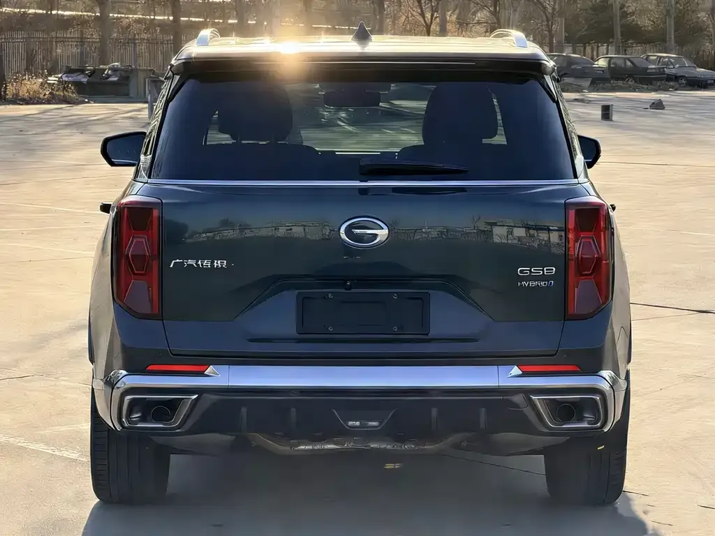 GAC Motor Trumpchi GS8 — фото 6