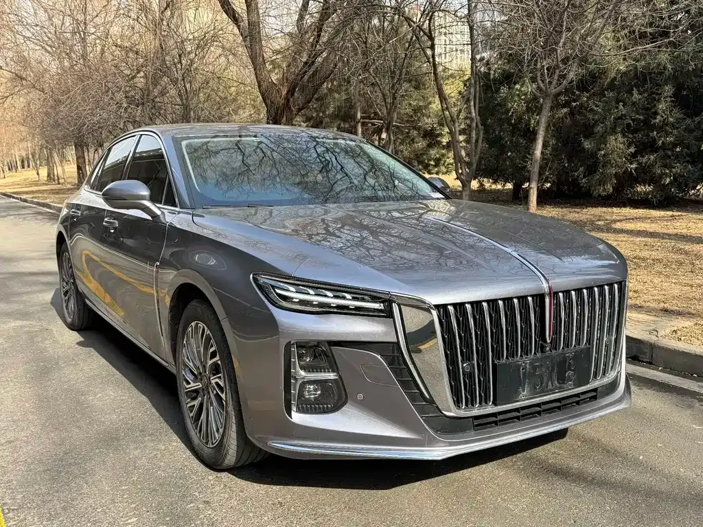 Hongqi H5 2023 из CN, фото 2