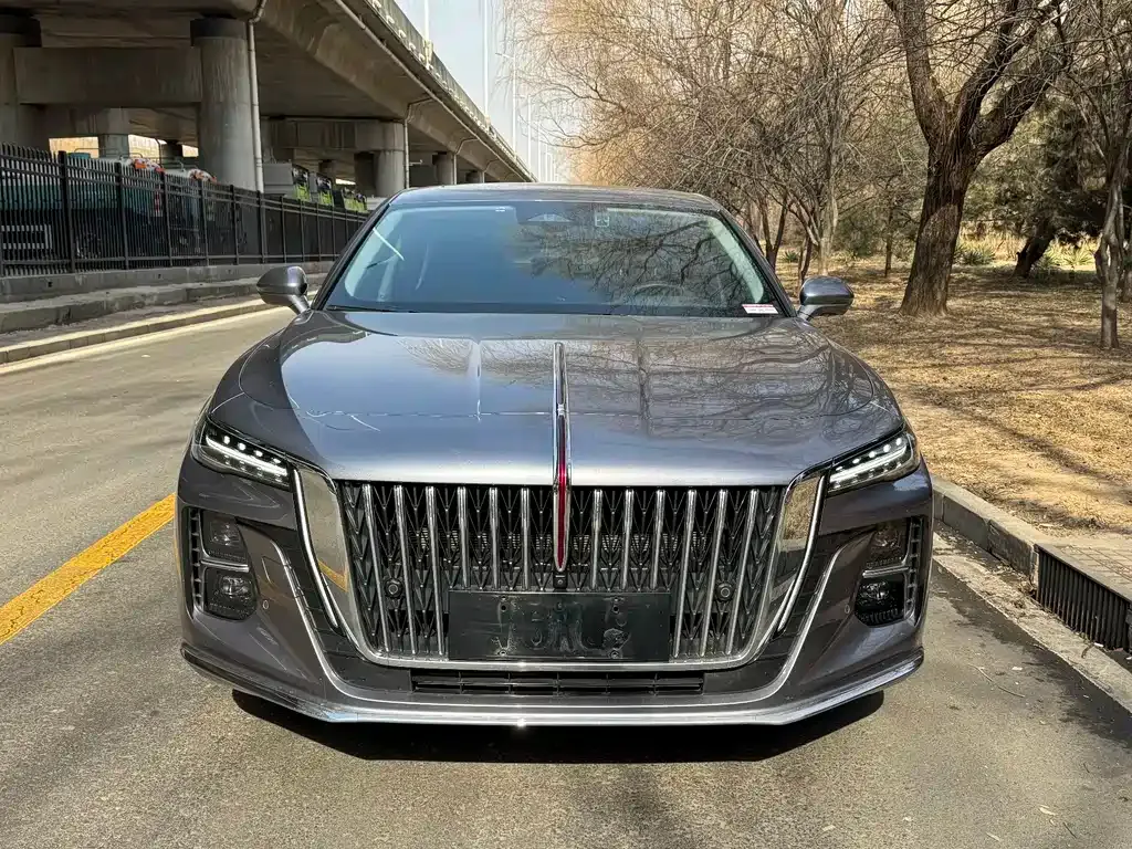 Hongqi H5 2023 из CN, фото 10