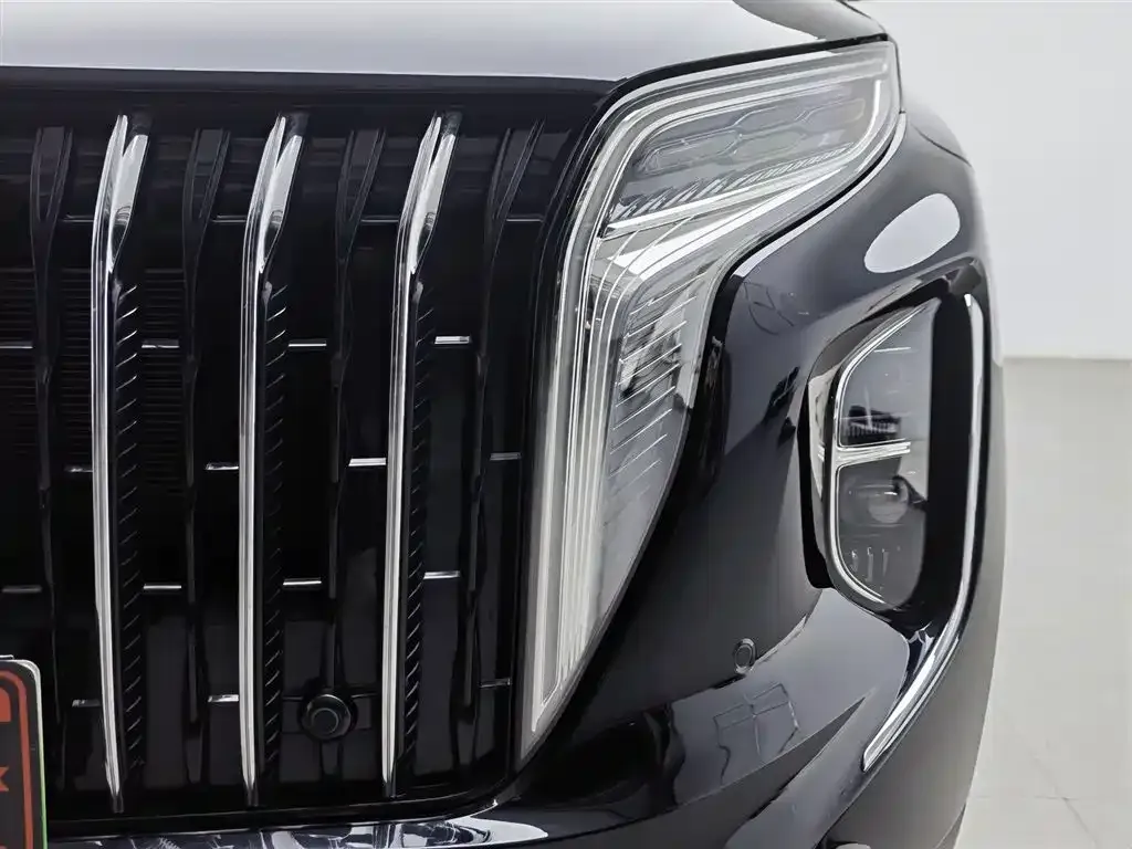 Hongqi HS7 PHEV 2024 из CN, фото 10
