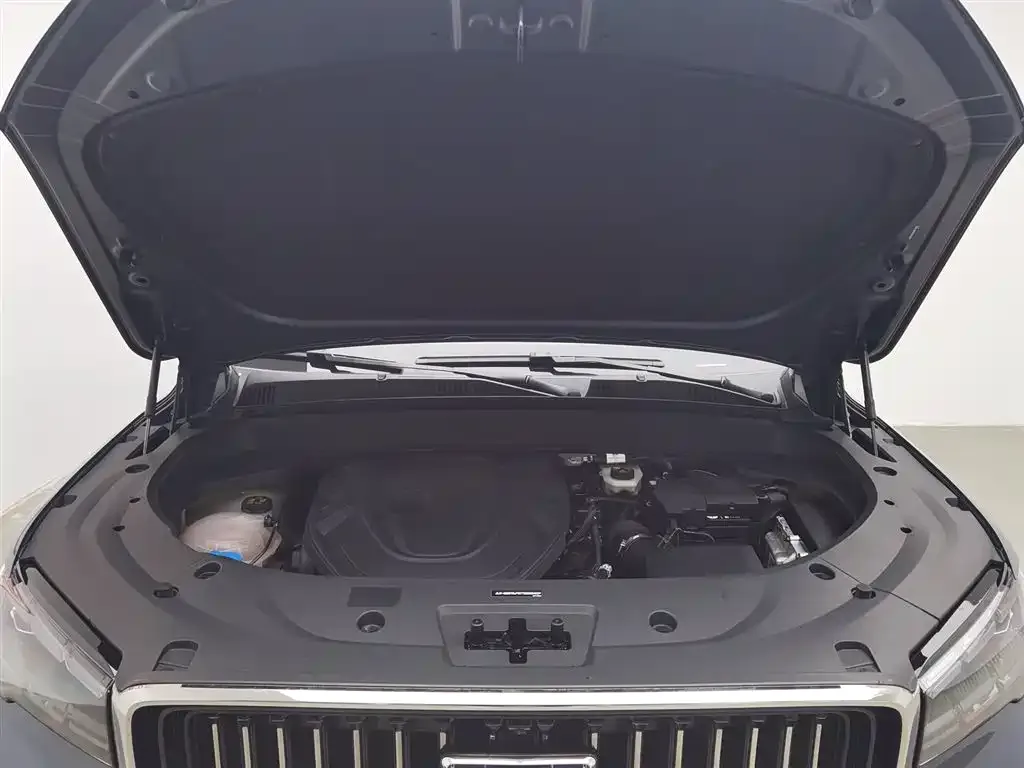 Geely Xingyue L 2022 из CN, фото 5