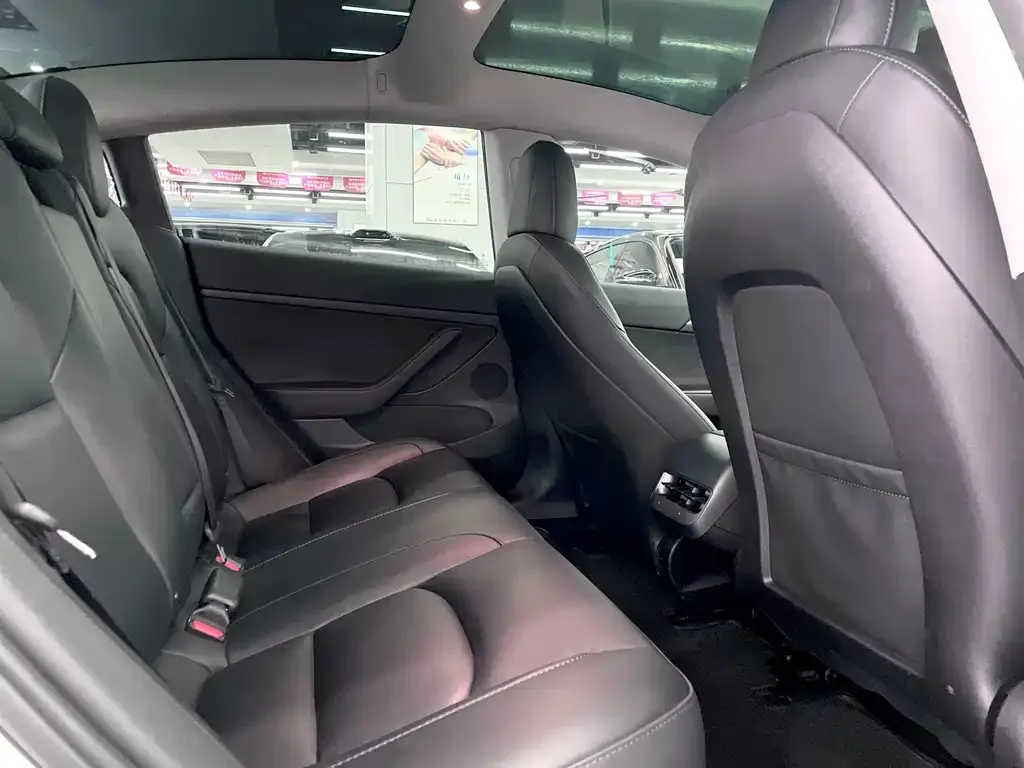 Tesla Model 3 2023 из CN, фото 4