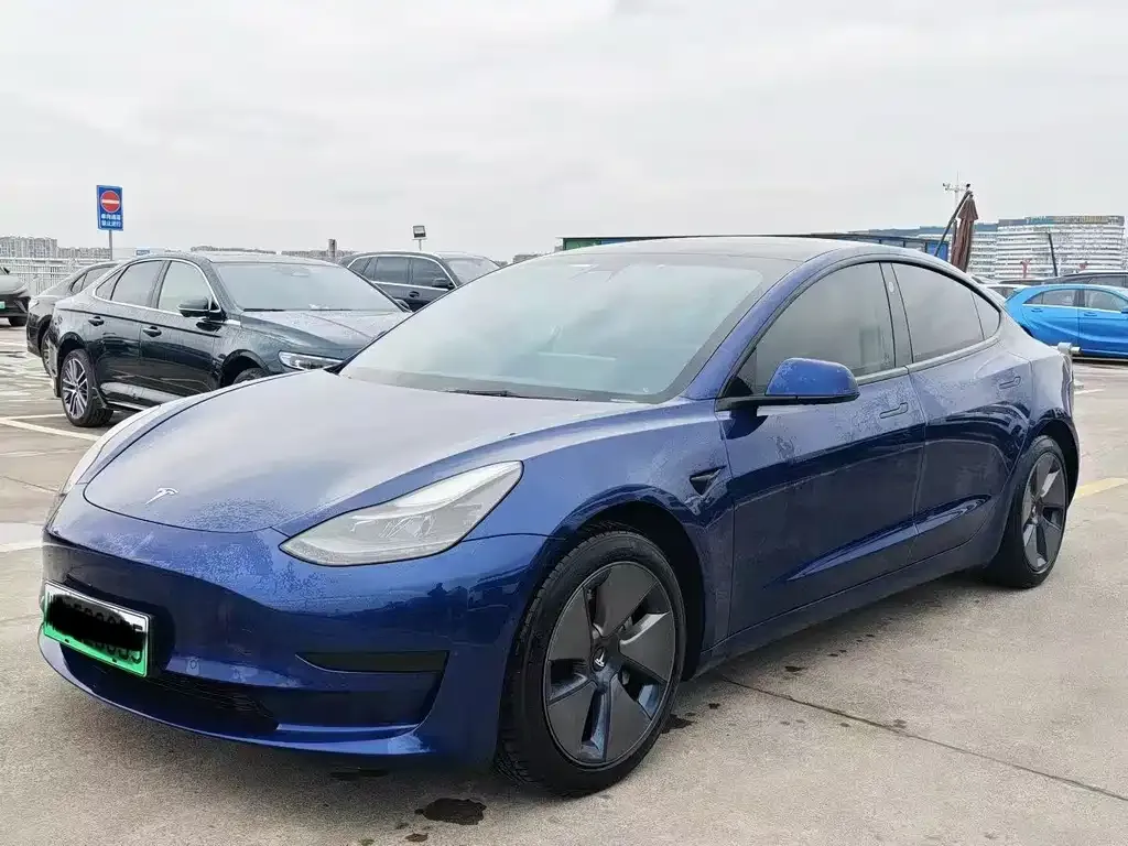 Tesla Model 3 2021 из CN, фото 1