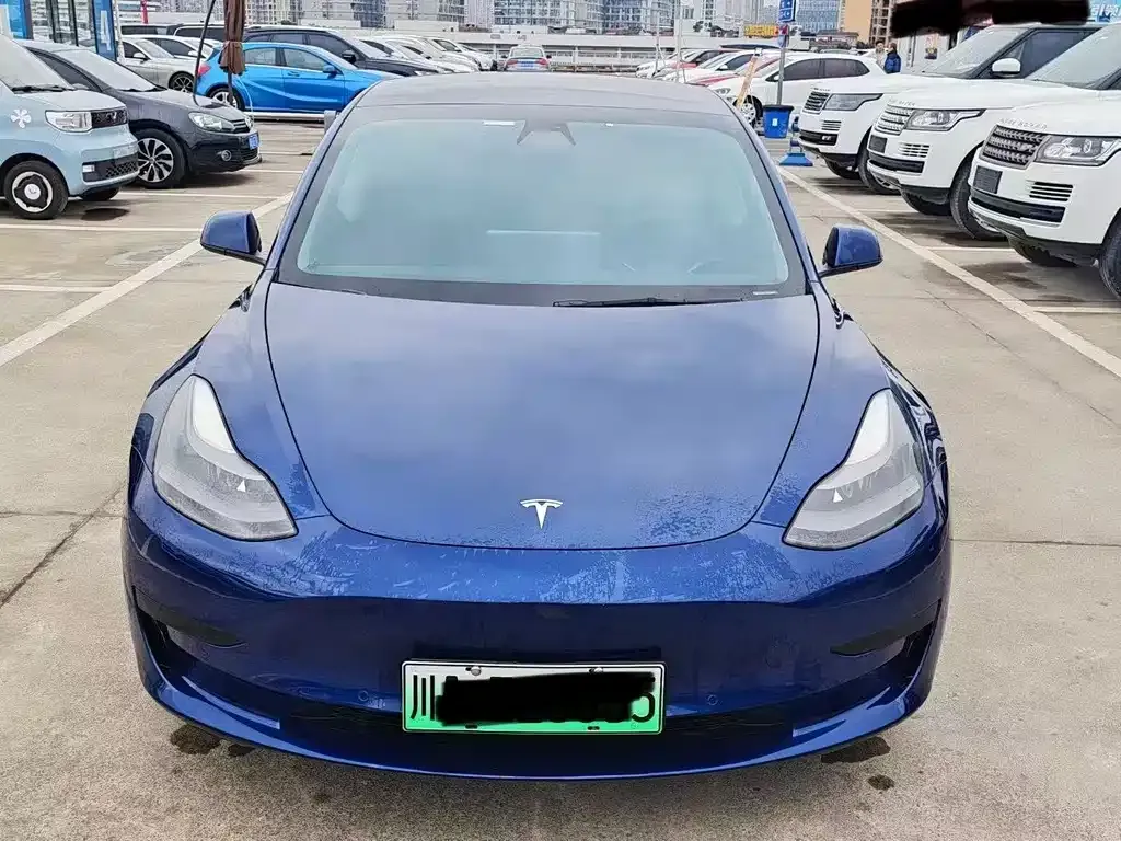 Tesla Model 3 2021 из CN, фото 8