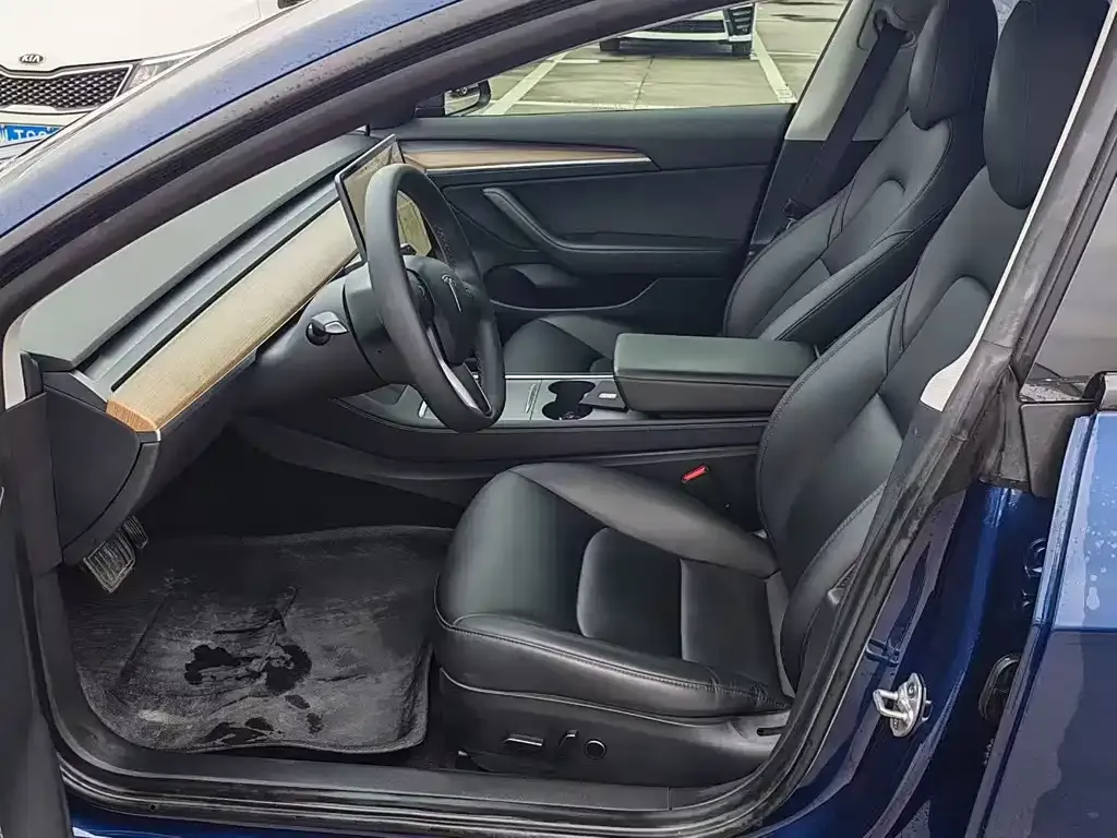 Tesla Model 3 2021 из CN, фото 6