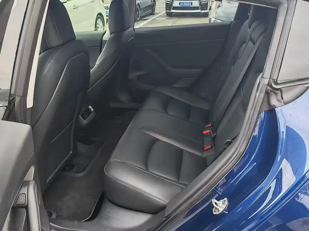 Tesla Model 3 2021 из CN, фото 3
