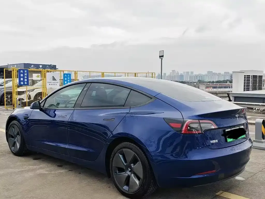 Tesla Model 3 2021 из CN, фото 7