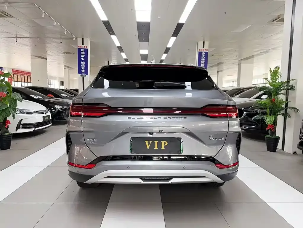 BYD PLUS New Energy 2024 из CN, фото 7