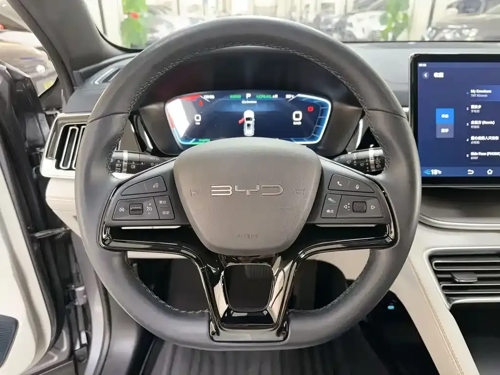 BYD PLUS New Energy 2024 из CN, фото 5