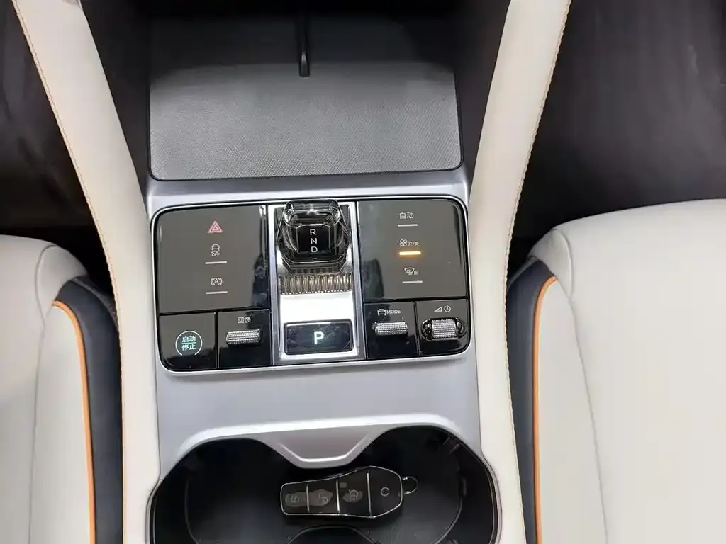 BYD PLUS New Energy 2024 из CN, фото 4