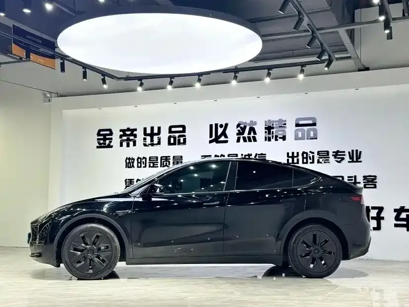 Tesla Model Y — фото 10