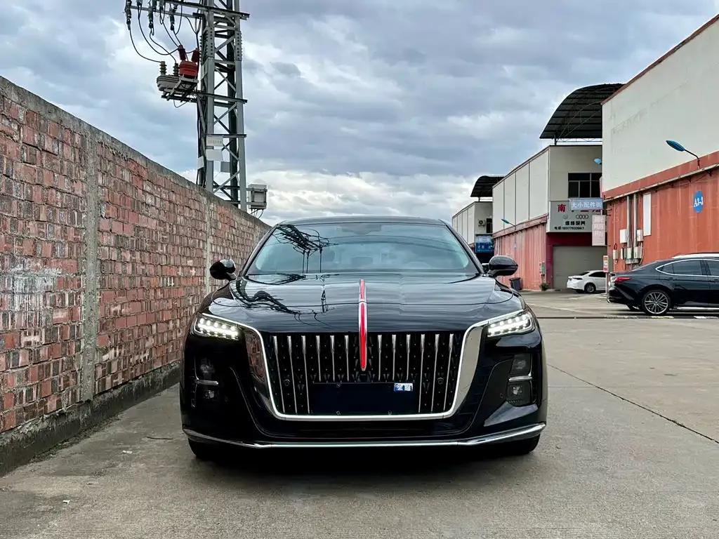 Hongqi H5 2024 из CN, фото 3